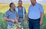 CHP’li Gürer: ‘Çiftçinin dalındaki yeşil domatesine icra geldi’