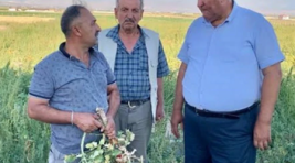 CHP’li Gürer: ‘Çiftçinin dalındaki yeşil domatesine icra geldi’